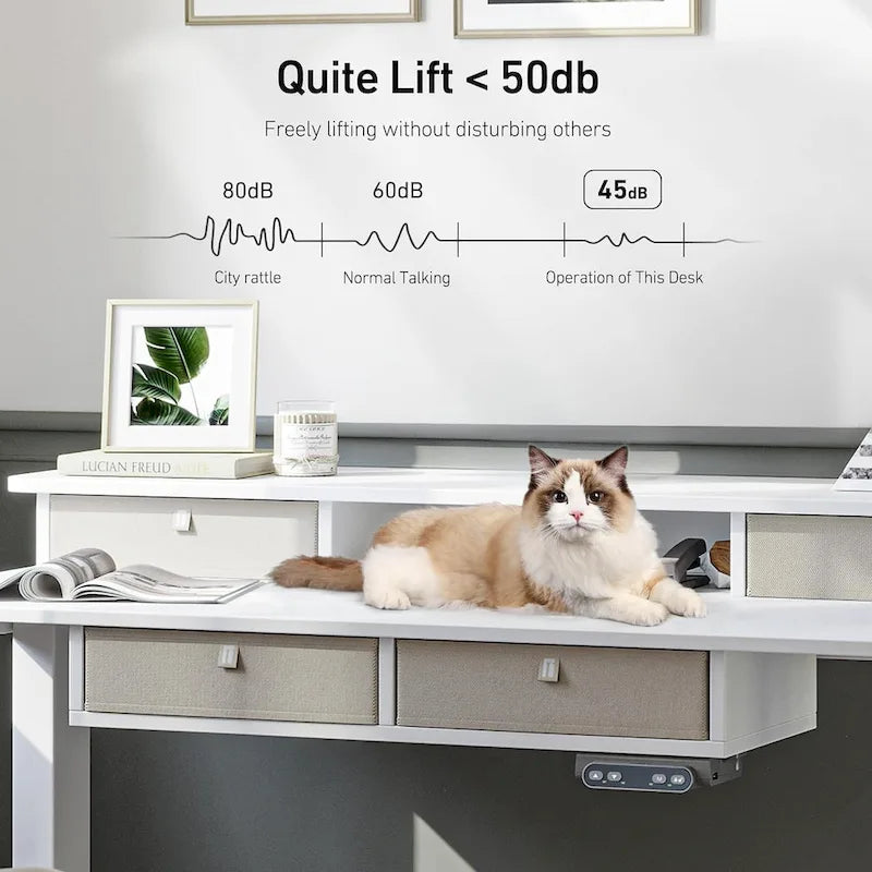FEZIBO Sturdy Height Adjustable Electric Standing Desk with Drawers, Stand Up Table with Large Storage Shelf, Sit Stand Desk